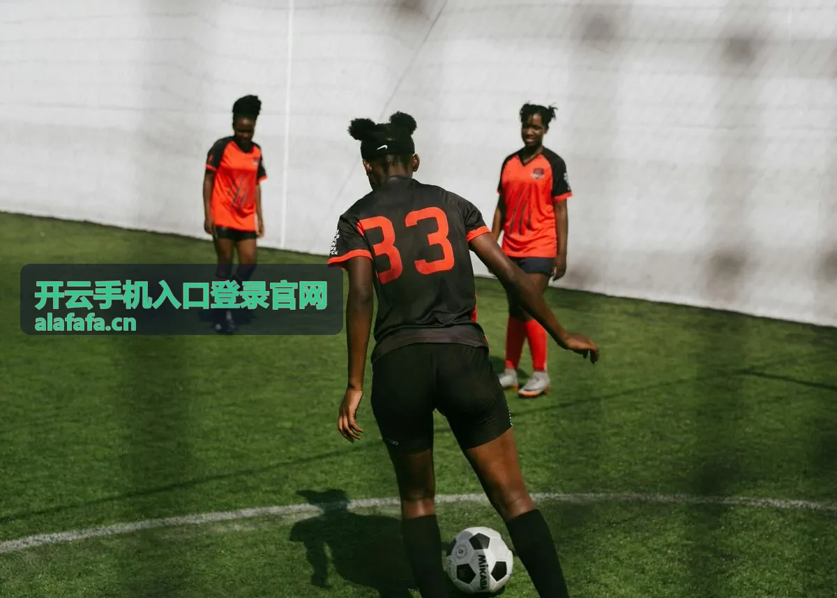 开云手机入口登录方式说明